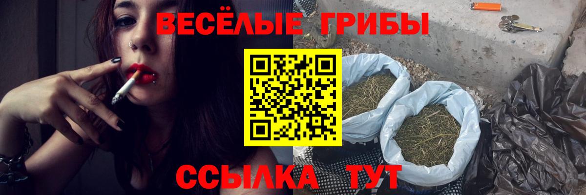 Кизляр  Псилоцибиновые грибы Cubensis  где можно купить   Вход с VPN 